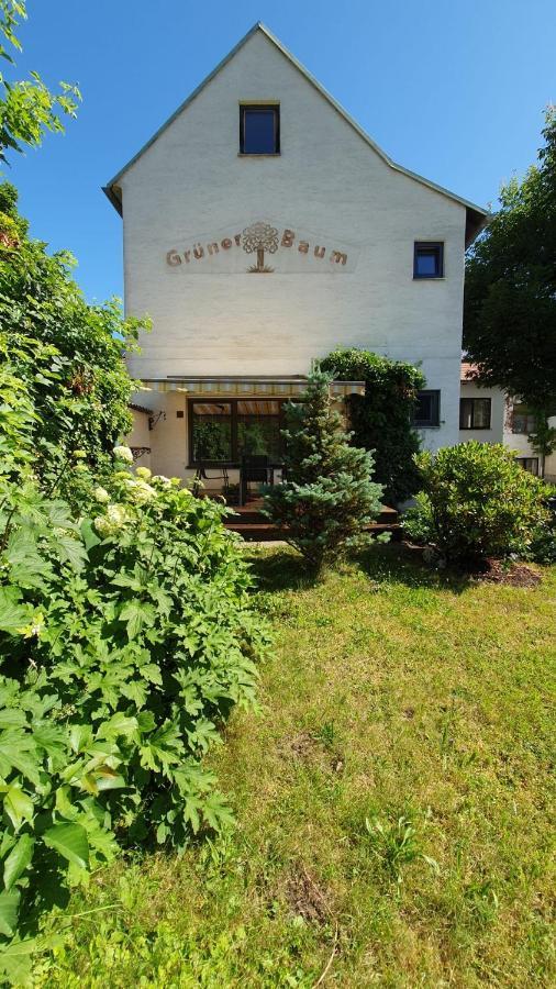 Gasthof Gruener Baum Kirchberg am Wechsel Extérieur photo