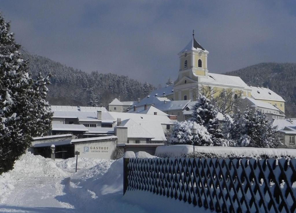 Gasthof Gruener Baum Kirchberg am Wechsel Extérieur photo