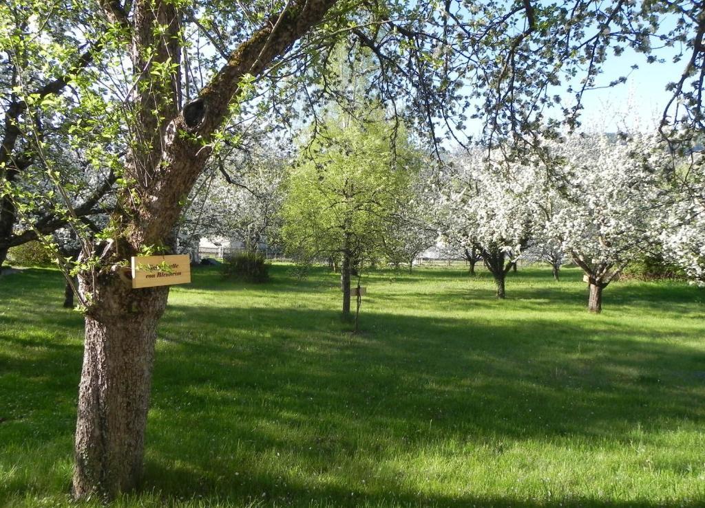 Gasthof Gruener Baum Kirchberg am Wechsel Extérieur photo