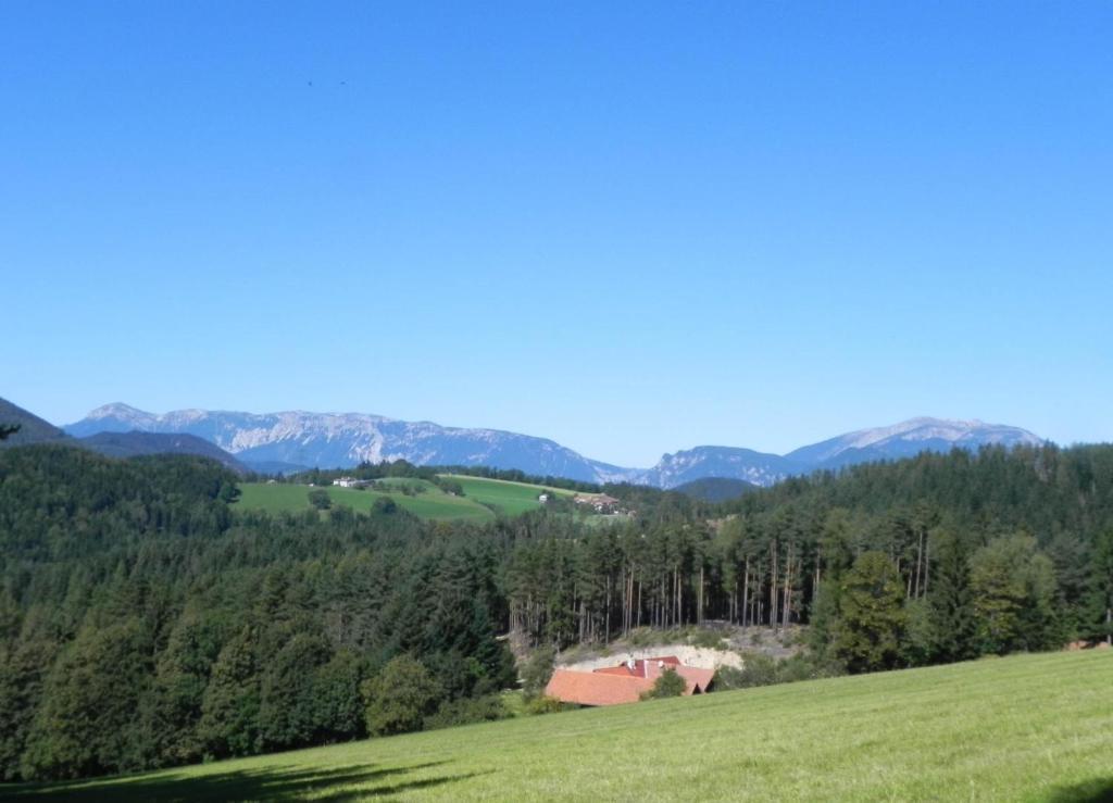 Gasthof Gruener Baum Kirchberg am Wechsel Extérieur photo